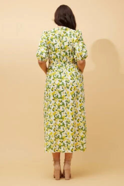 DOROTHY LEMON PRINT LINEN DRESS -Femme Connection Sales dba82d0107f8a22092d7ee045ef4ce1b